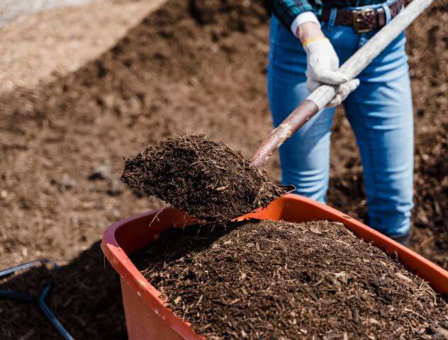 Rich, dark compost in a wheelbarrow