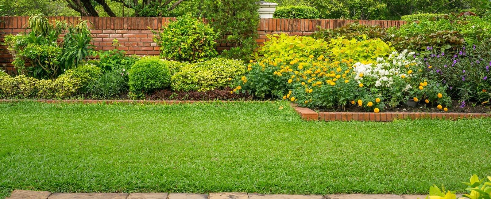 A lush lawn in different seasons