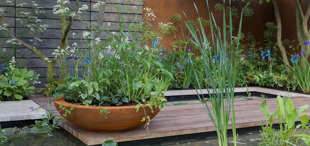Modern garden with sharp lines and minimalist planting