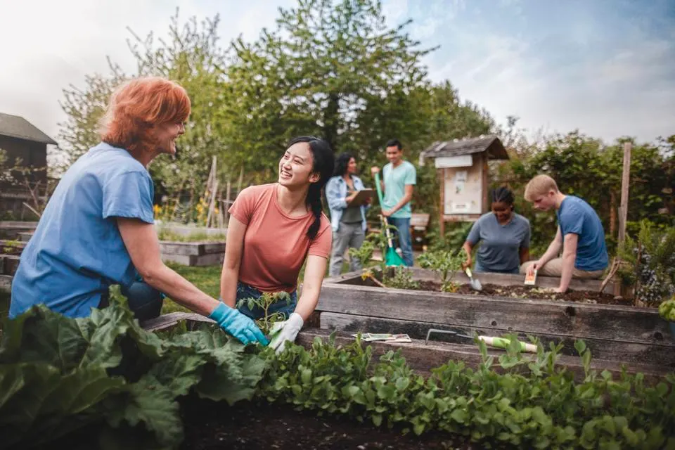 A team of gardeners collaborating on a plan